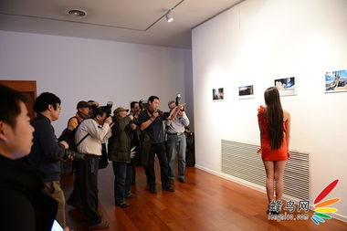 影像点亮生活 2014蜂鸟网全国网友嘉年华礼仪服务